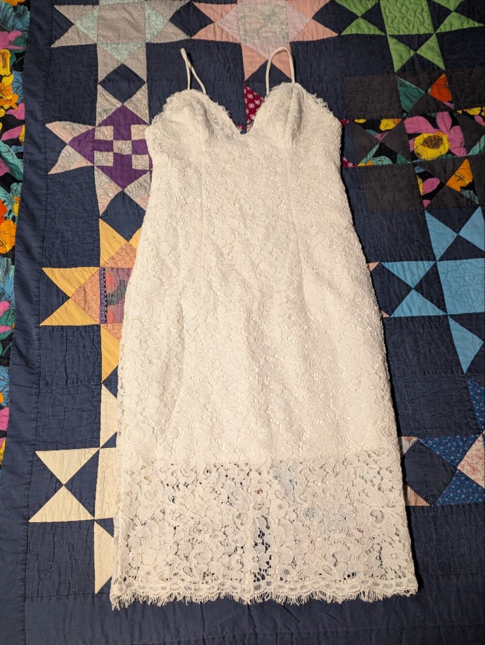 Bardot Ivory Lace Mini Dress